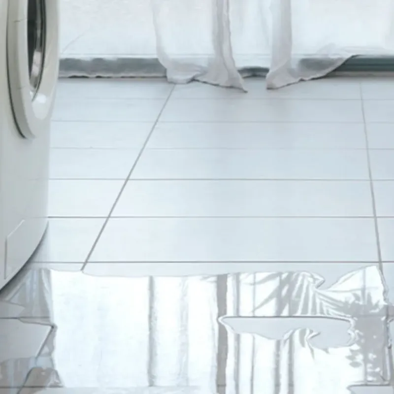 Appliance Leak Cleanup in Saint Clair County, MI