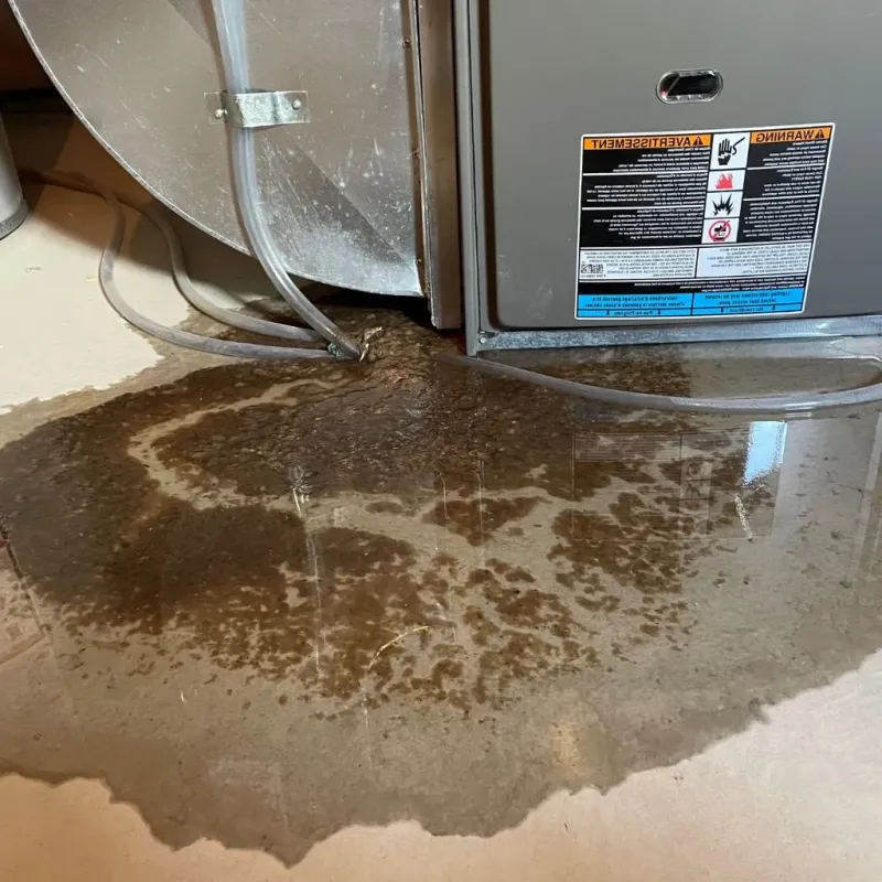 Pipe Burst and Leak Restoration in Saint Clair County, MI
