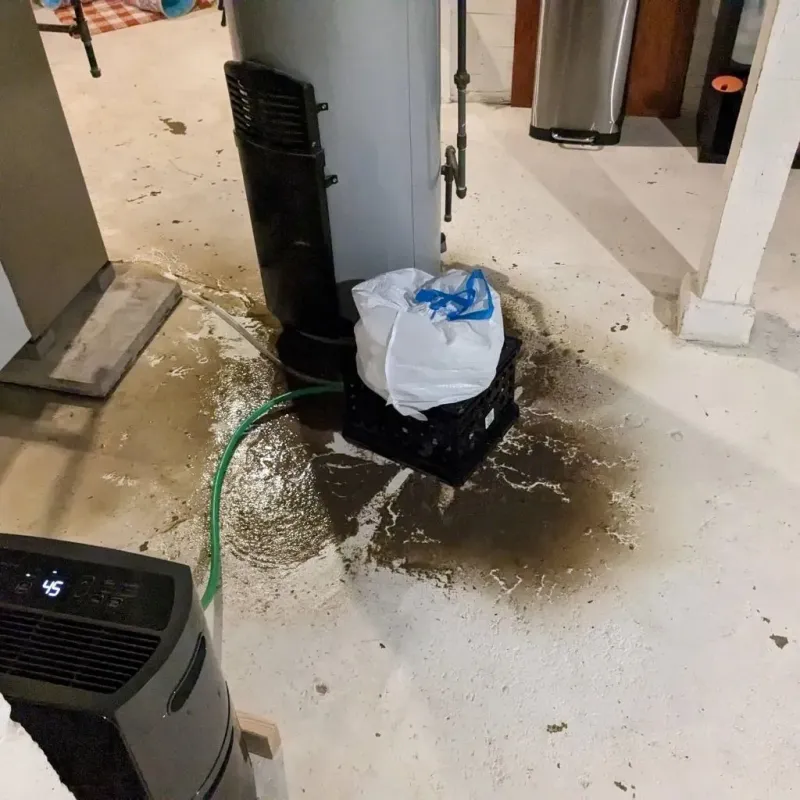 Sewage Backup Cleanup Service in Saint Clair County, MI